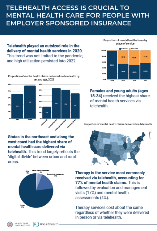 HCCI telehealth issue brief 2.6